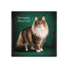 Podkładka ceramiczna, kwadratowa - Koty Norwegian Forest Cat (CARMANI)