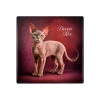 Podkładka ceramiczna, kwadratowa - Koty Devon Rex (CARMANI)