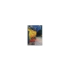 Kpl. 5 magnesów - V. van Gogh (CARMANI)