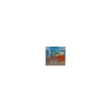 Kpl. 5 magnesów - V. van Gogh (CARMANI)