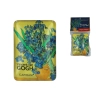 Magnes - V. van Gogh, Irysy w wazonie (CARMANI)