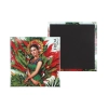 Magnes - F. Kahlo, Autoportret (CARMANI)