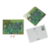 Kpl. 12 pocztówek - V. van Gogh, Irysy (CARMANI)