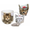 Kubek - Sweety Kitty, pudełko z ogonkiem (CARMANI)