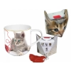 Kubek - Sweety Kitty, pudełko z ogonkiem (CARMANI)