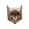 Kubek - Sweety Kitty, pudełko z ogonkiem (CARMANI)