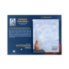 Notes - Inspirowany malastwem V. van Gogh (CARMANI)