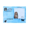 Notes - N. Bonilla (CARMANI)