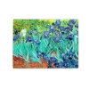 Deska szklana - V. van Gogh, Irysy (CARMANI)