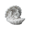 Stajenka w muszli -alabaster grecki
