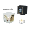Świecznik szklany + tealight - G. Klimt, Pocałunek (CARMANI)