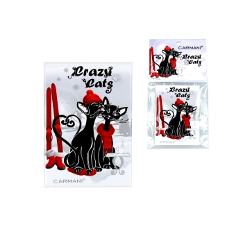 Magnes - Zimowe koty z nartami (CARMANI)