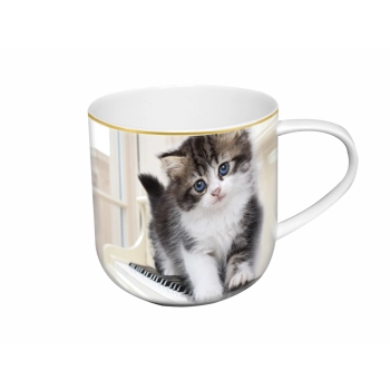 Kubek - Sweety Kitty, pudełko z ogonkiem (CARMANI)