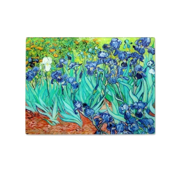 Deska szklana - V. van Gogh, Irysy (CARMANI)