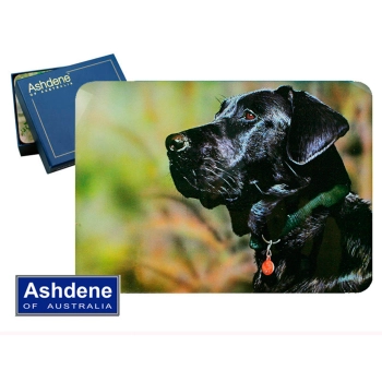 Podkł. korek duże 6 szt. - Black Labrador