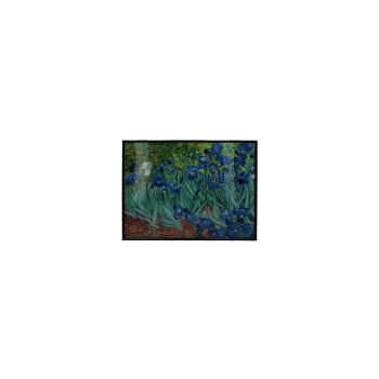 Obrazek/skrzynka maskująca, V. van Gogh, Irysy.