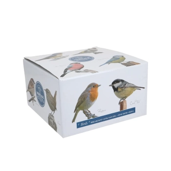 Filiżanka śniadaniowa ze spodkiem - Garden Birds (FBCh)