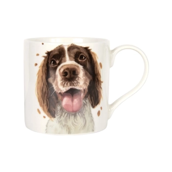 Kubek - Springer Spaniel