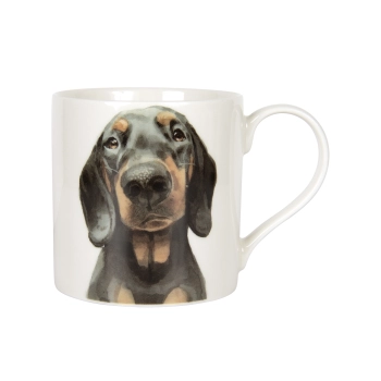 Kubek - Dachshund